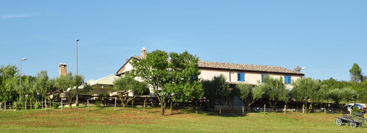 Bed&Breakfast Monte Rosso Poreč Eksteriør bilde